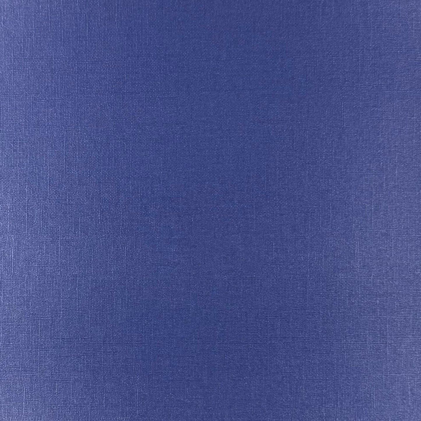 BLUE BUTTERFLY - 12x12 Textured Pearlescent Cardstock - Encore Shimmer