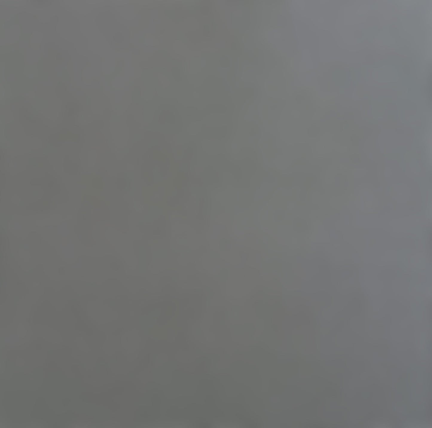 DOLPHIN - Smooth 12x12 Cardstock - Encore Paper
