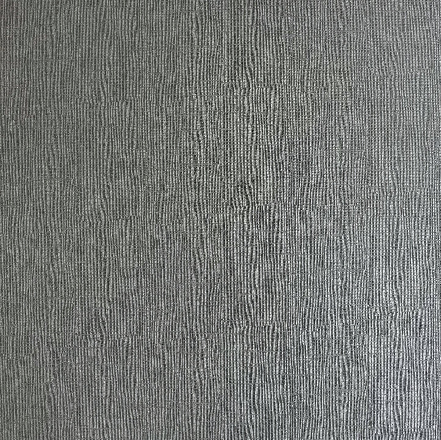 Encore Tin Man - Medium Gray Textured Cardstock for Cricut cutting