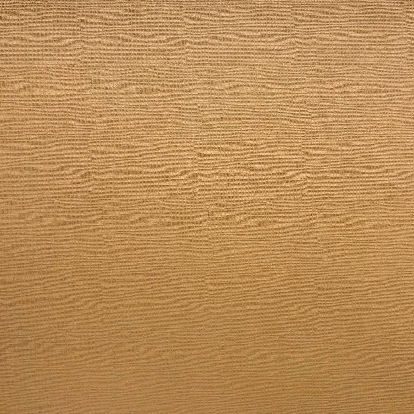 Encore Kraft light brown textured cardstock for Cricut cutting