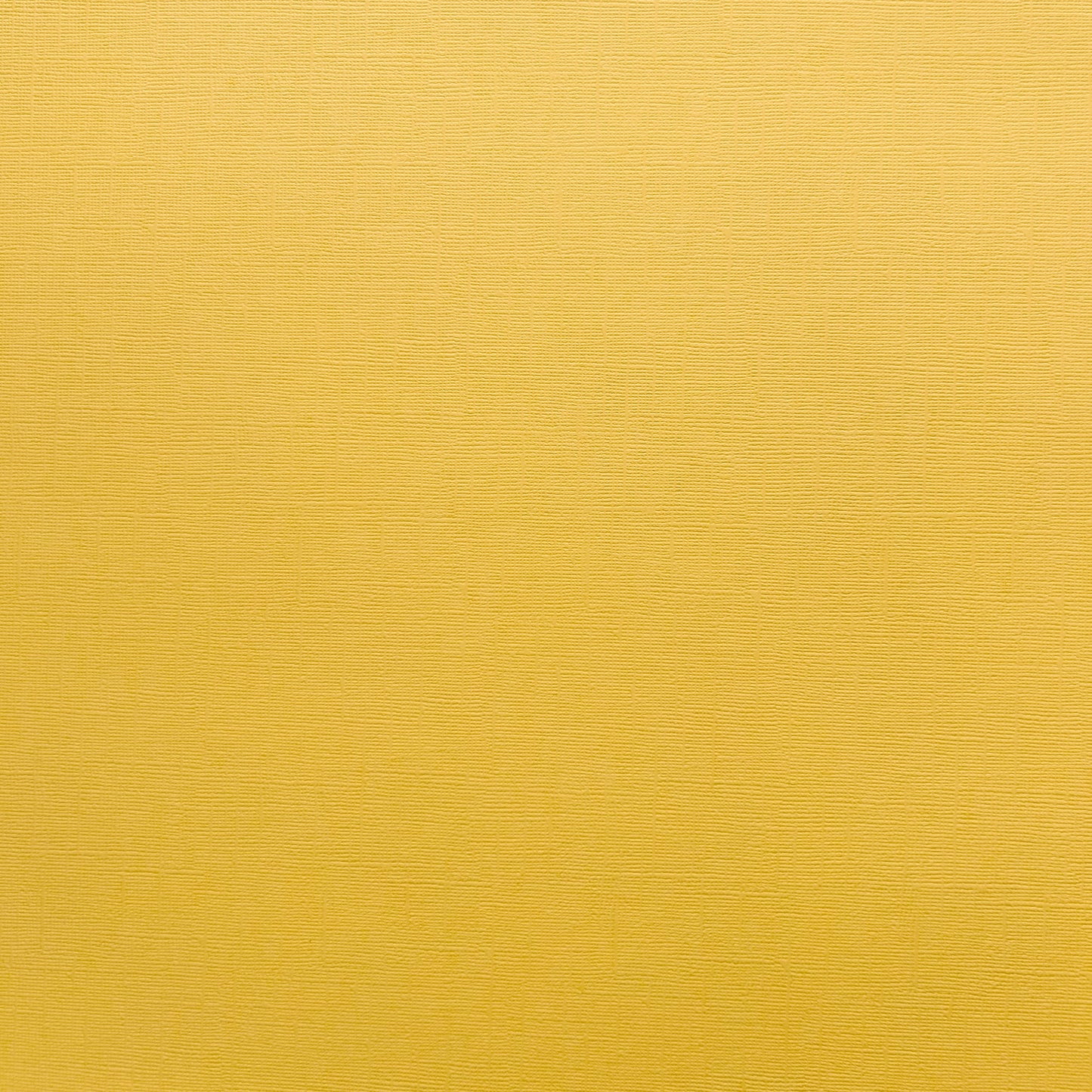 Encore Encore Maize yellow textured cardstock for Cricut cutting