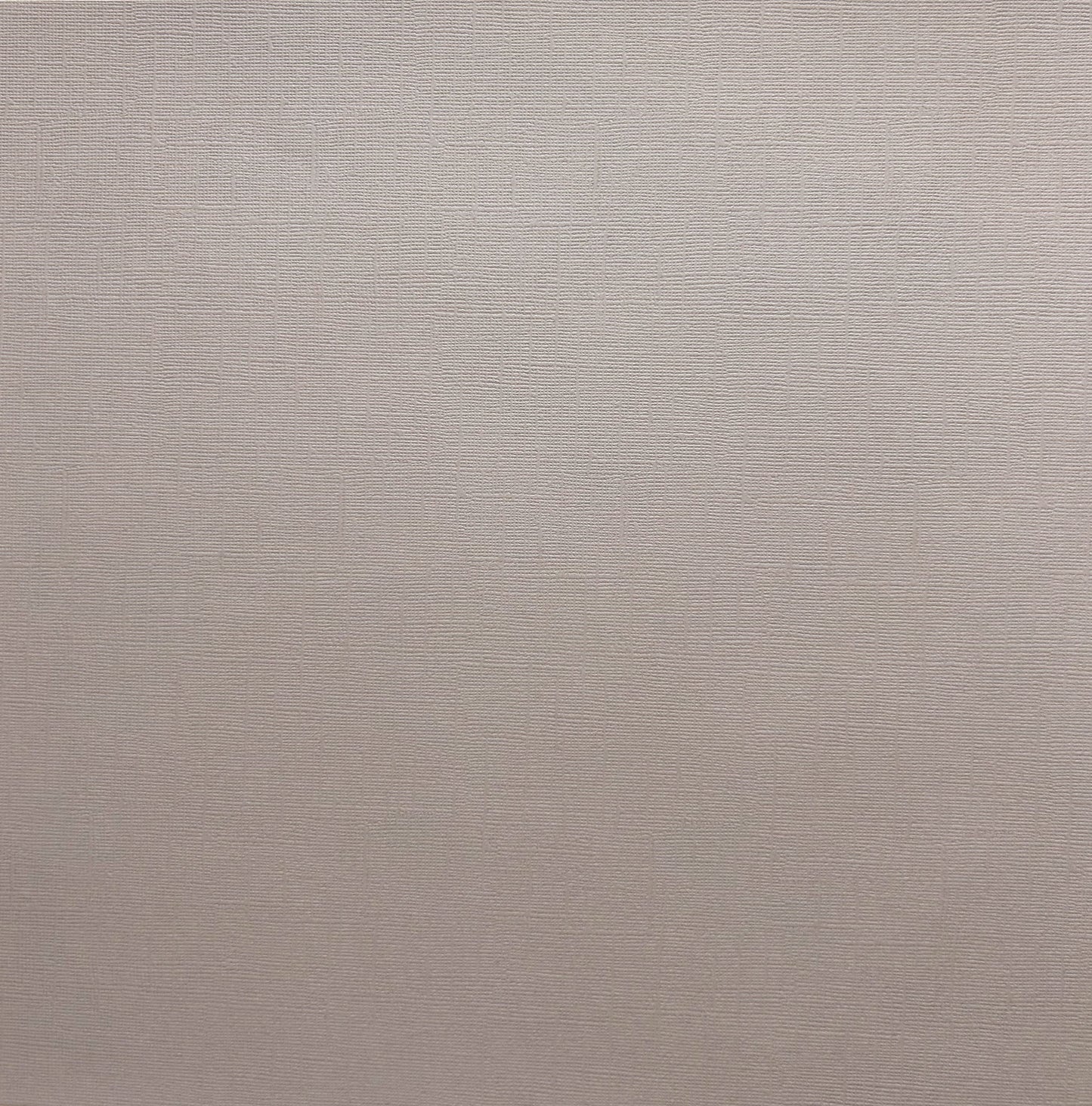 Encore Rainy Day warm grey textured cardstock for Cricut cutting