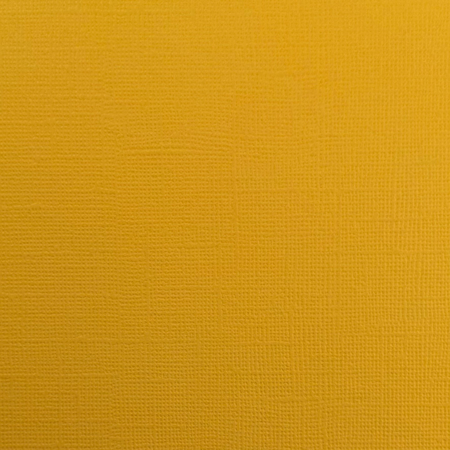 WILDFLOWER HONEY - Canvas Texture 25 Pack - E2-906