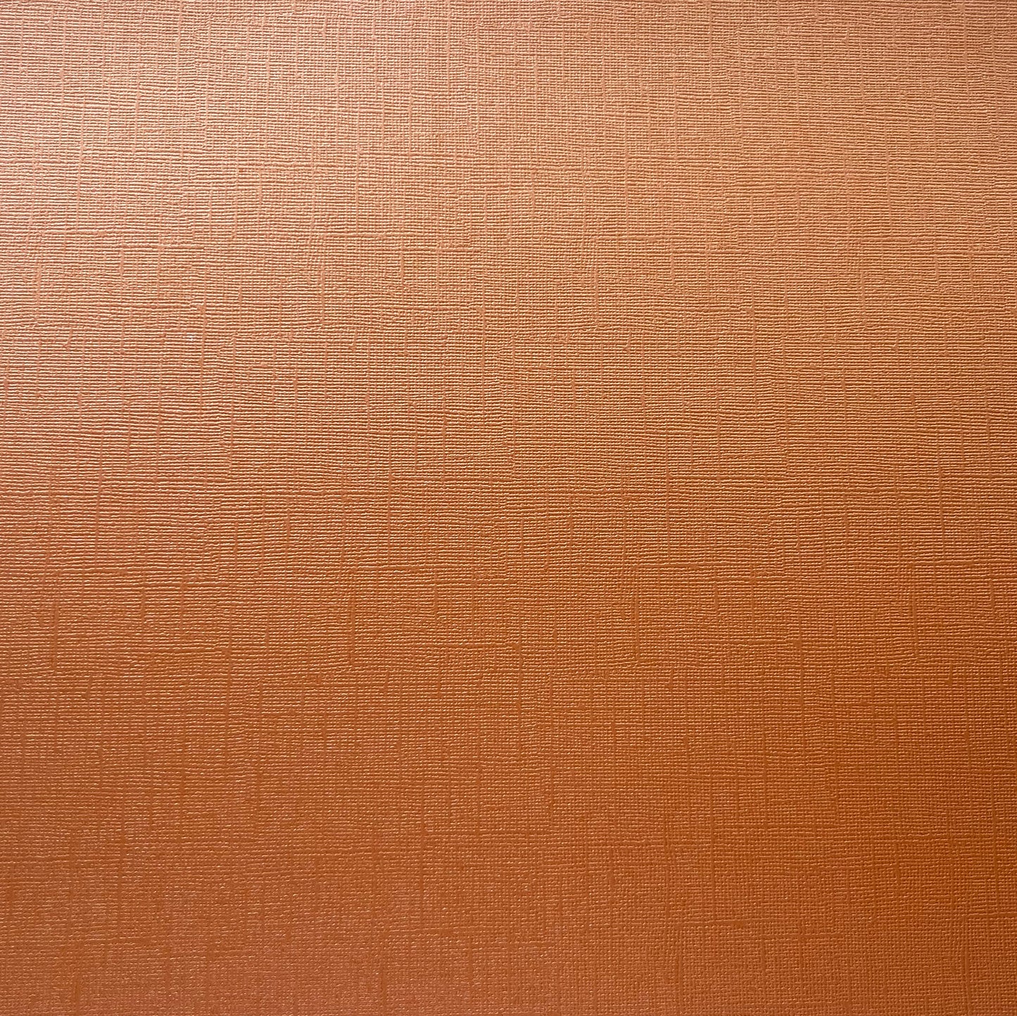 MARMALADE - Shimmery Textured 12x12 Cardstock - Encore Paper