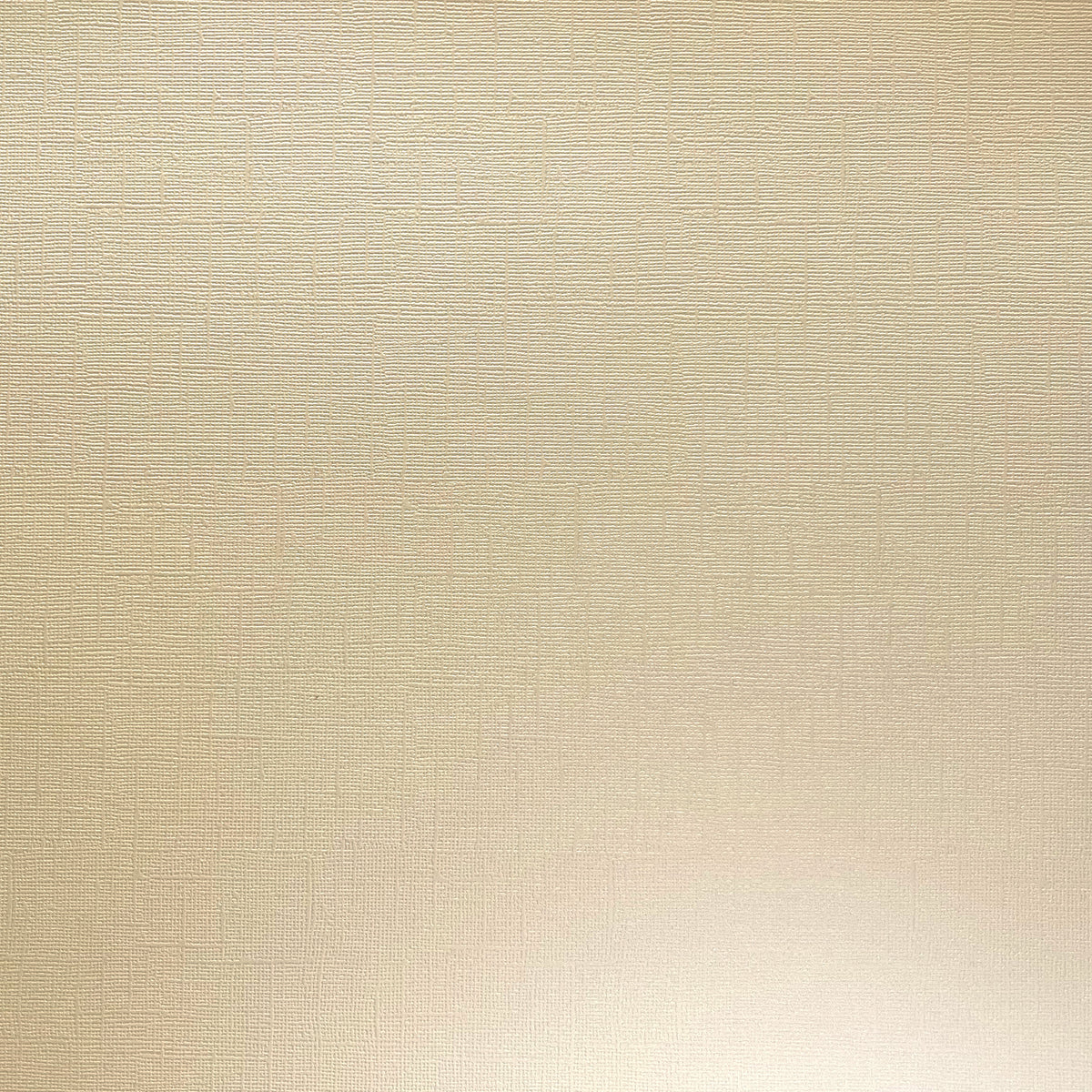 VANILLA PEARL - 12x12 Textured Pearlescent Cardstock - Encore Shimmer