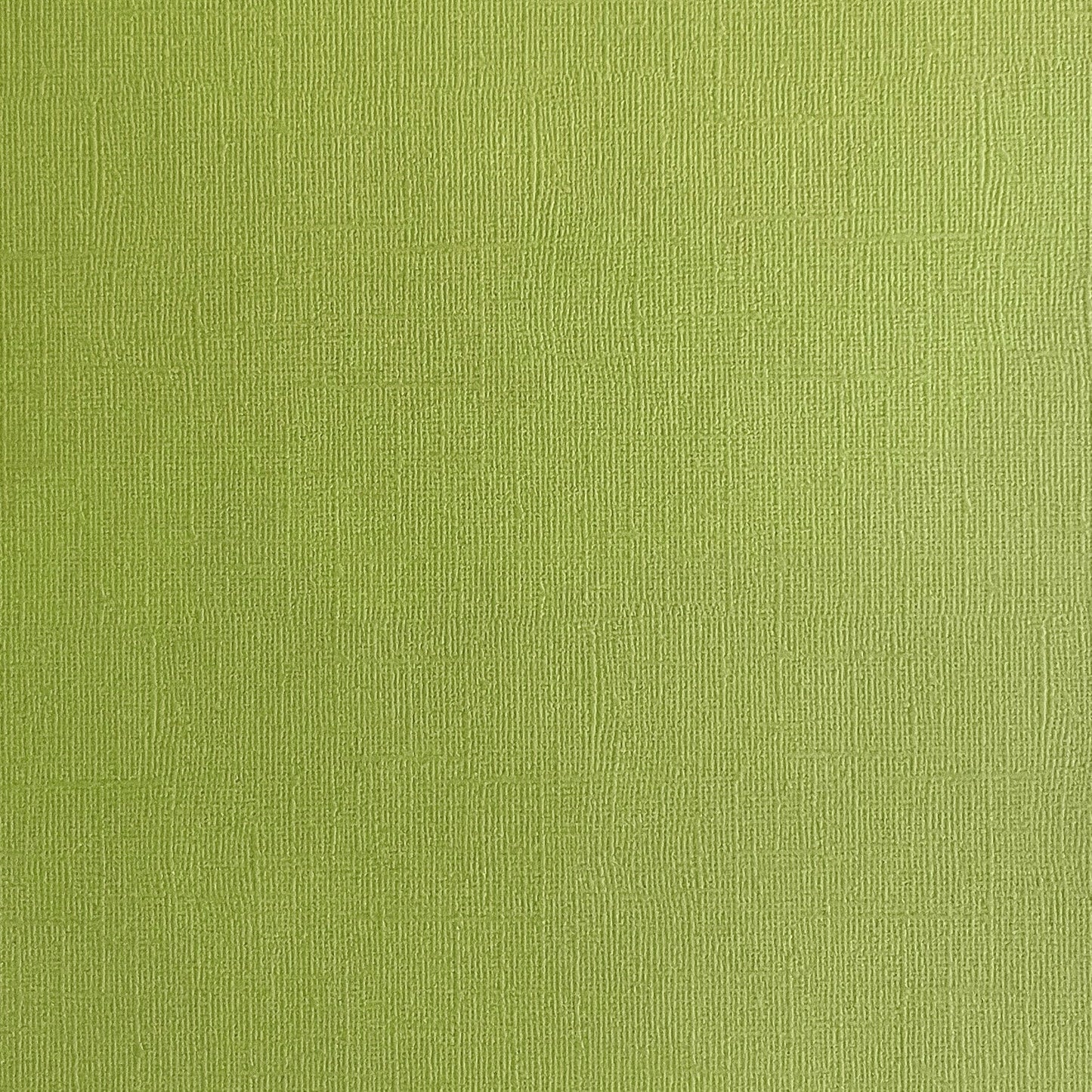 CACTUS - Olive Green Textured 12x12 Cardstock - Encore Paper