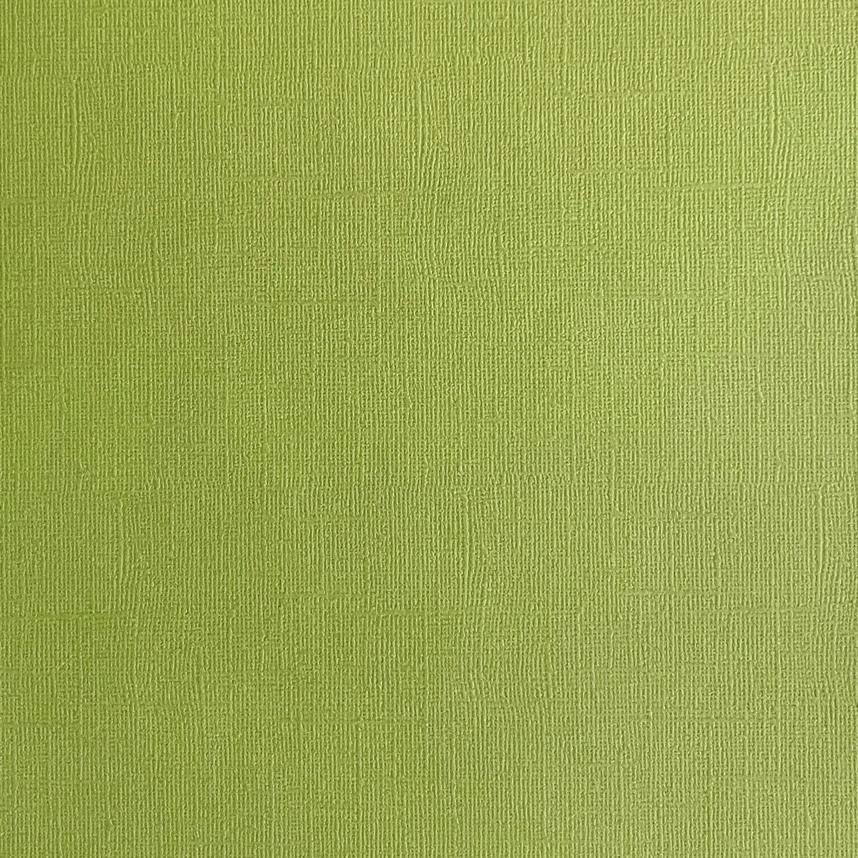 CACTUS - Olive Green Textured 12x12 Cardstock - Encore Paper
