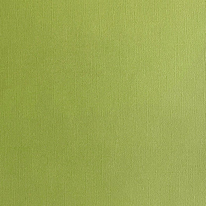 CACTUS - Olive Green Textured 12x12 Cardstock - Encore Paper