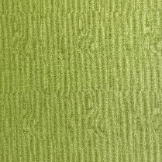 CACTUS - Olive Green Textured 12x12 Cardstock - Encore Paper