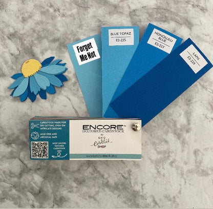 HONOLULU BLUE - Canvas Texture 25 Pack - E2-227