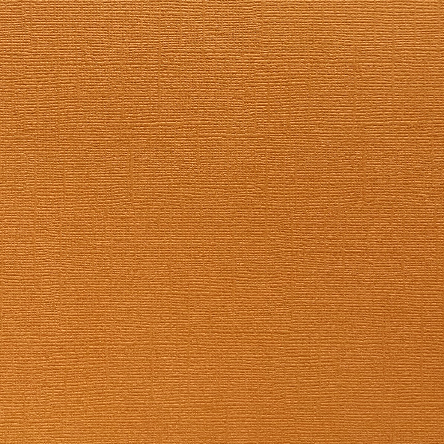 APRICOT JAM - Canvas Texture 25 Pack - E2-153