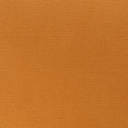 APRICOT JAM - Canvas Texture 25 Pack - E2-153