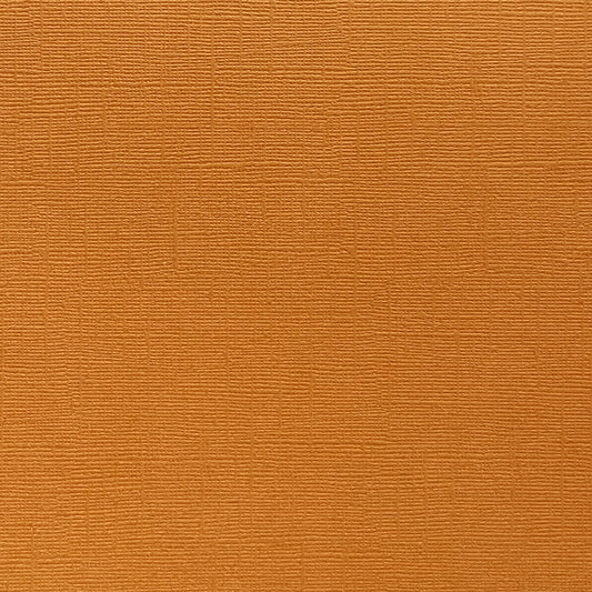 APRICOT JAM - Canvas Texture 25 Pack - E2-153