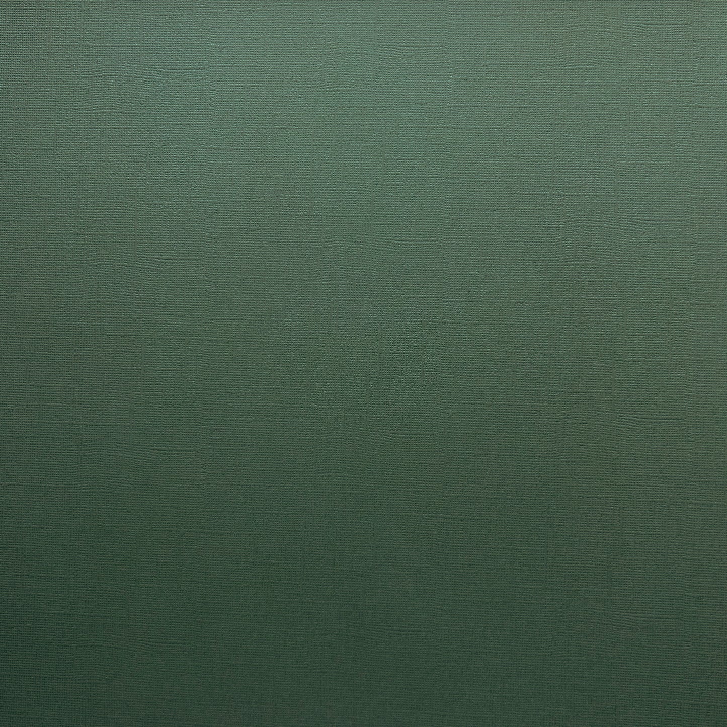 Encore Aspen Green dark green textured cardstock for Cricut cutting