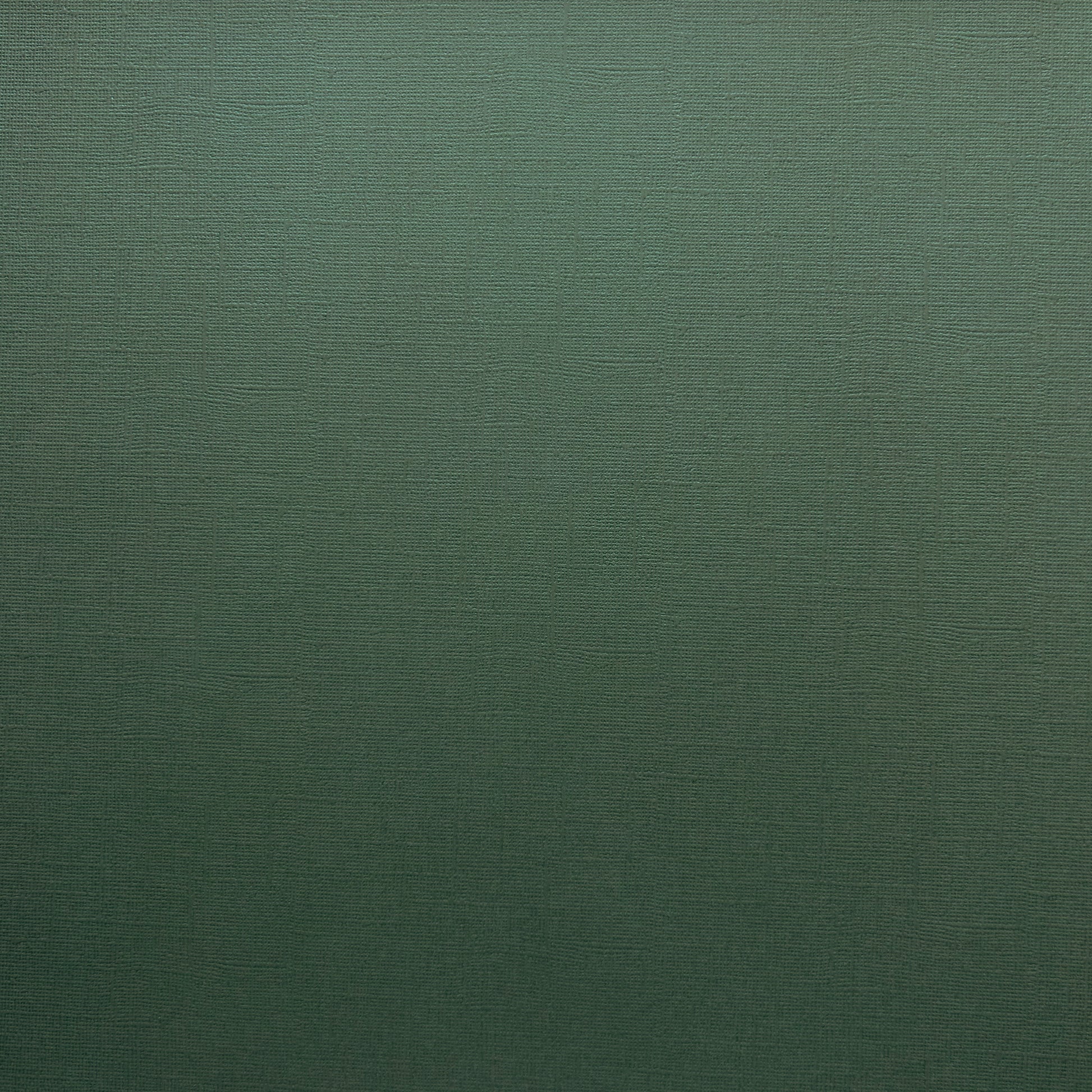 Encore Aspen Green dark green textured cardstock for Cricut cutting