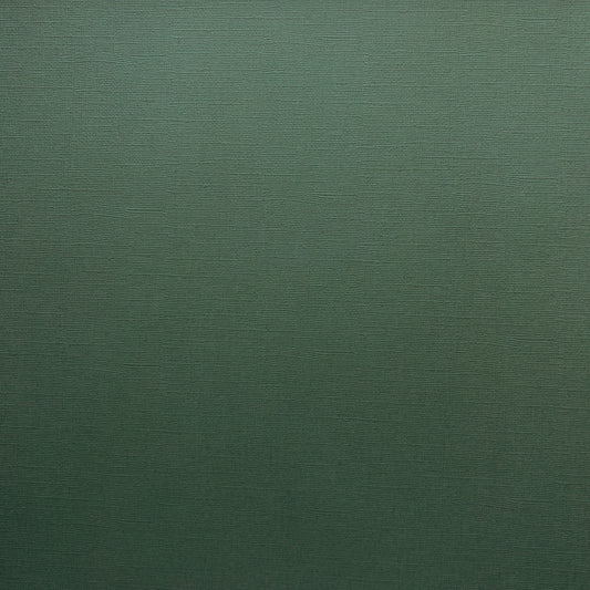 Encore Aspen Green dark green textured cardstock for Cricut cutting