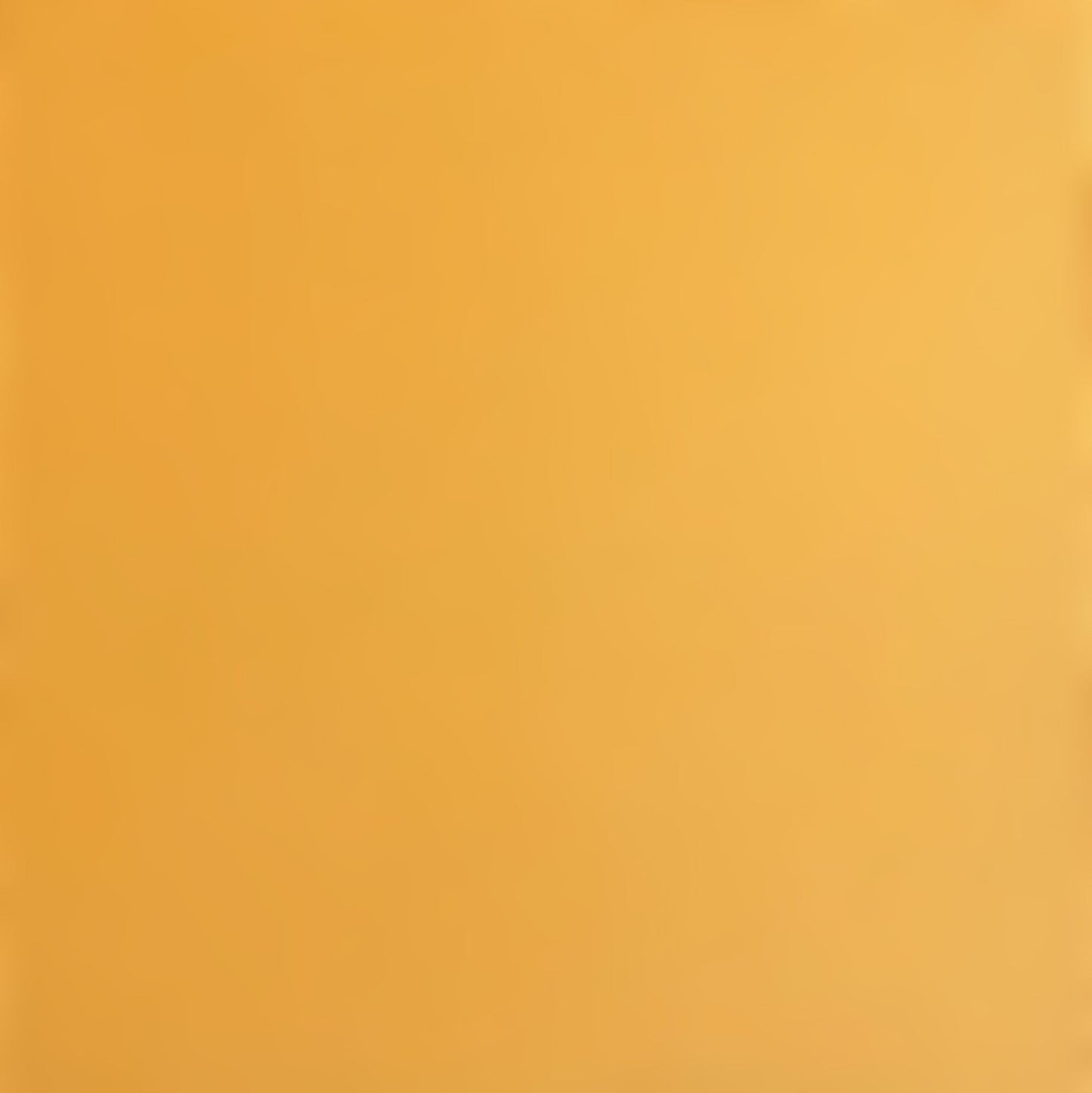 BEEHIVE - Smooth 12x12 Cardstock - Encore Paper