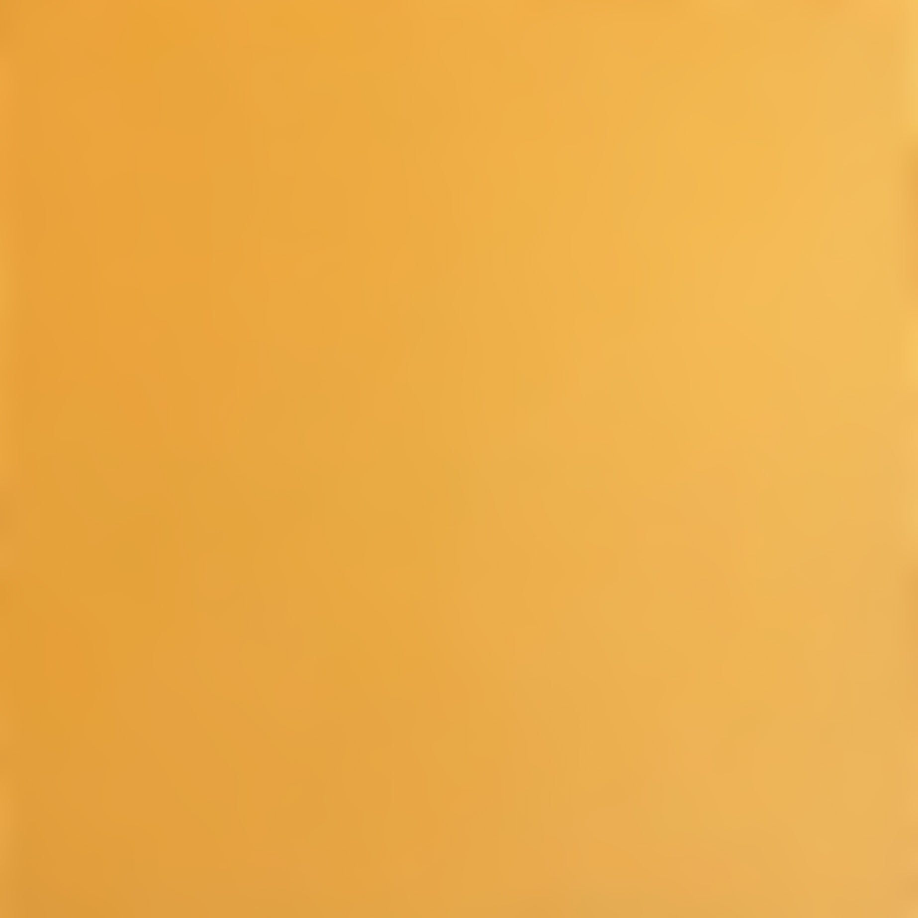 BEEHIVE - Smooth 12x12 Cardstock - Encore Paper