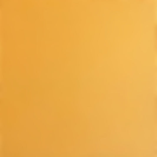 BEEHIVE - Smooth 12x12 Cardstock - Encore Paper