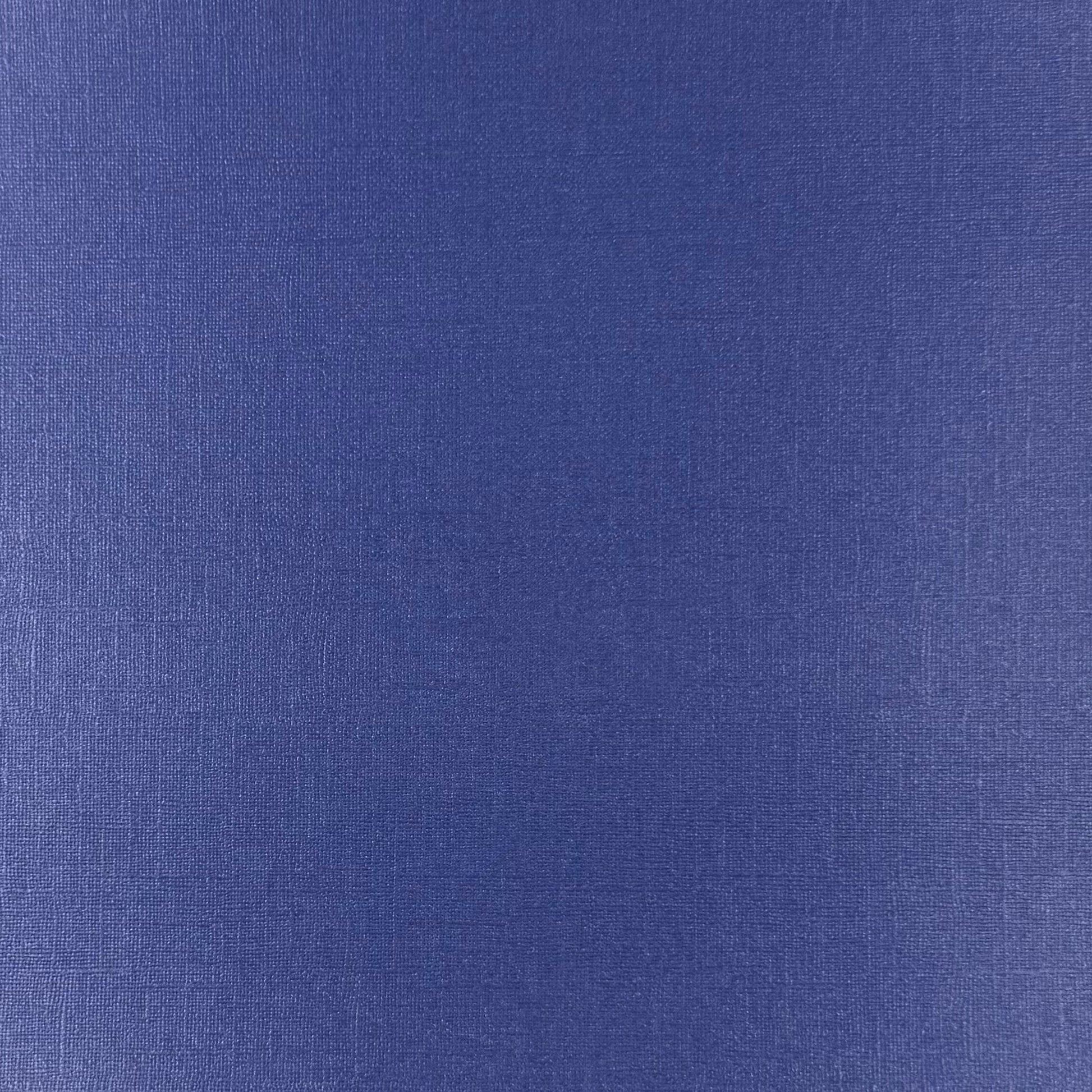 BLUE BUTTERFLY - 12x12 Textured Pearlescent Cardstock - Encore Shimmer