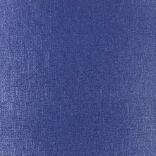 BLUE BUTTERFLY - 12x12 Textured Pearlescent Cardstock - Encore Shimmer