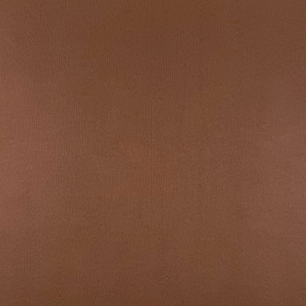BROWN - Wood Grain 12x12 Cardstock - Encore Paper