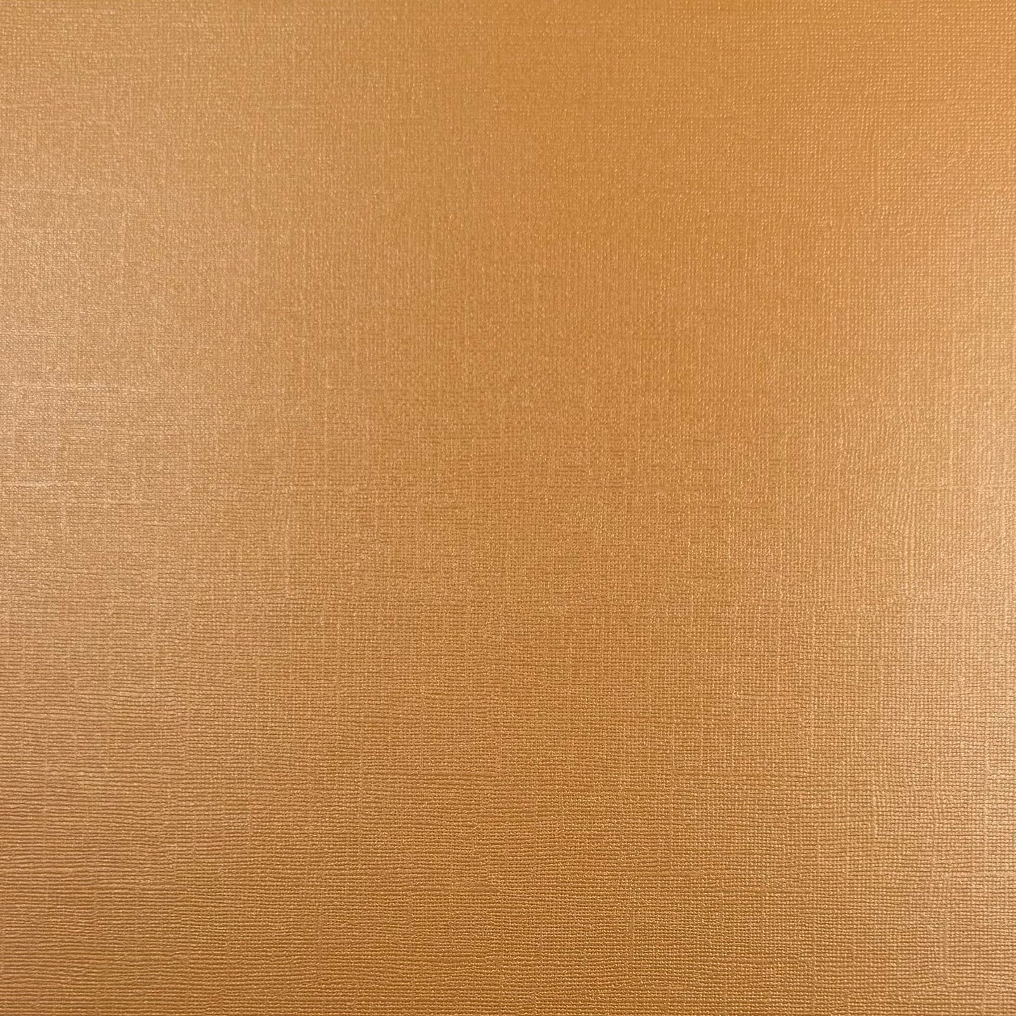MAIZE - Shimmery Textured 12x12 Cardstock - Encore Shimmer