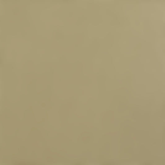 BROWN SUGAR - Smooth 12x12 Cardstock - Encore Paper