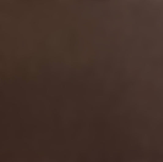 BROWNIE - Smooth 12x12 Cardstock - Encore Paper