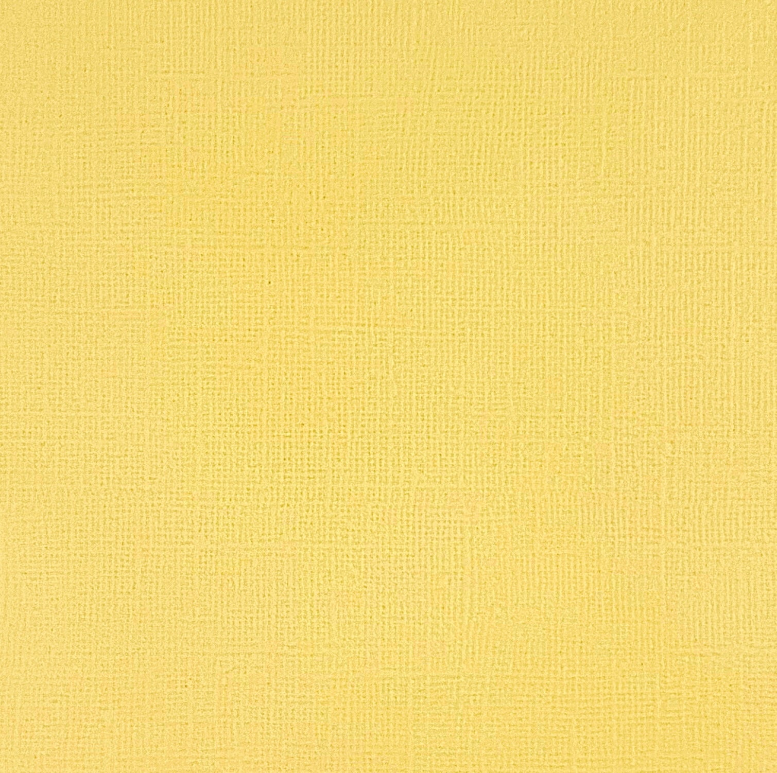 CRUSHED PINEAPPLE - Light Yellow Textured 12x12 Cardstock - Encore Paper