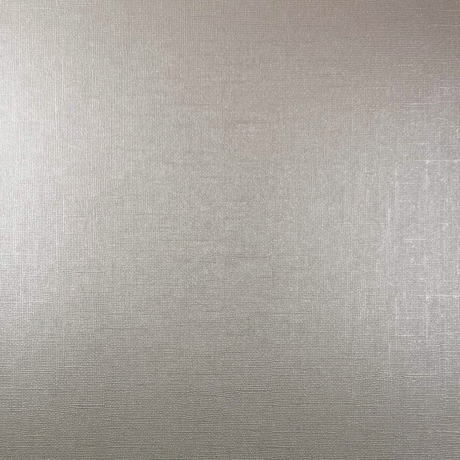 CRYSTAL ROCK - 12x12 Textured Pearlescent Cardstock - Encore Shimmer