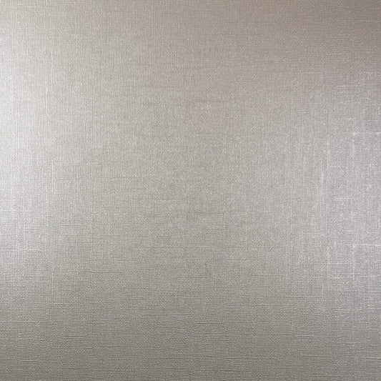 CRYSTAL ROCK - 12x12 Textured Pearlescent Cardstock - Encore Shimmer