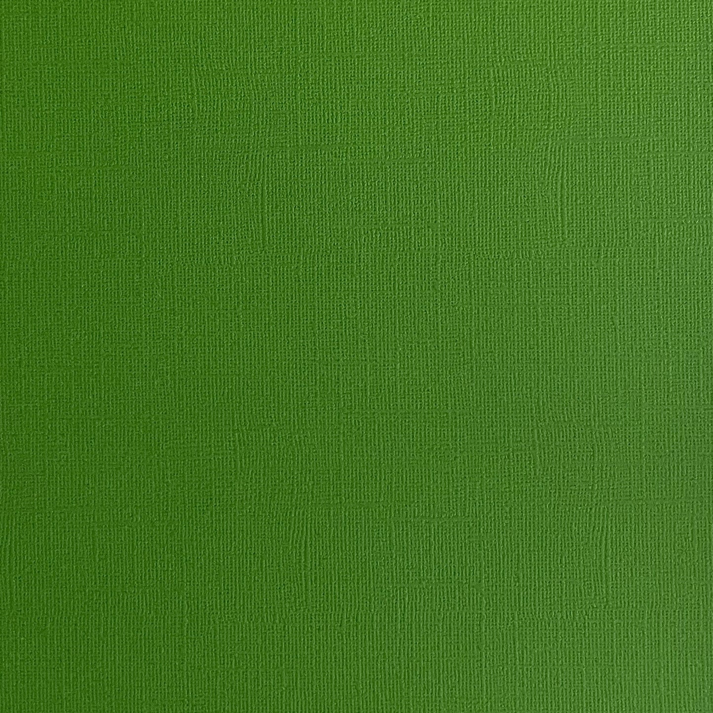 DILL PICKLE - Green Textured 12x12 Cardstock - Encore Paper