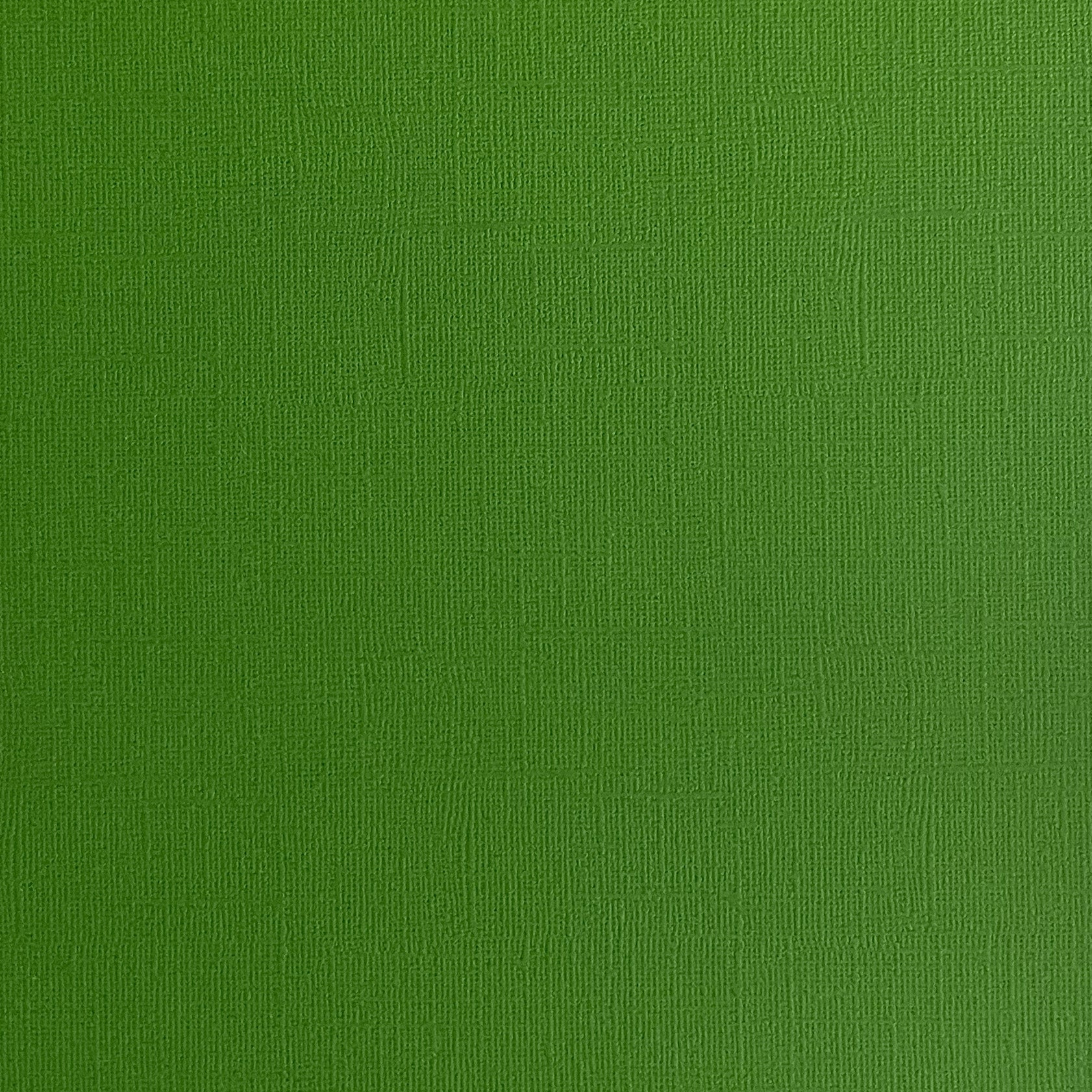 DILL PICKLE - Green Textured 12x12 Cardstock - Encore Paper
