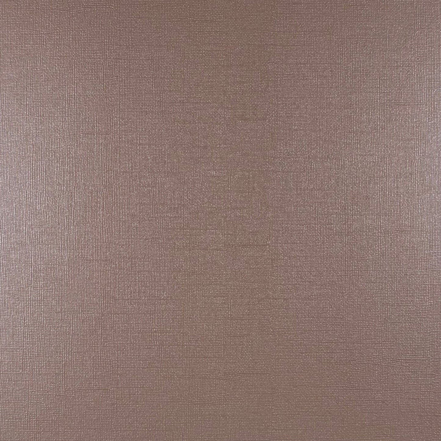 DRIFTWOOD - 12x12 Textured Pearlescent Cardstock - Encore Shimmer