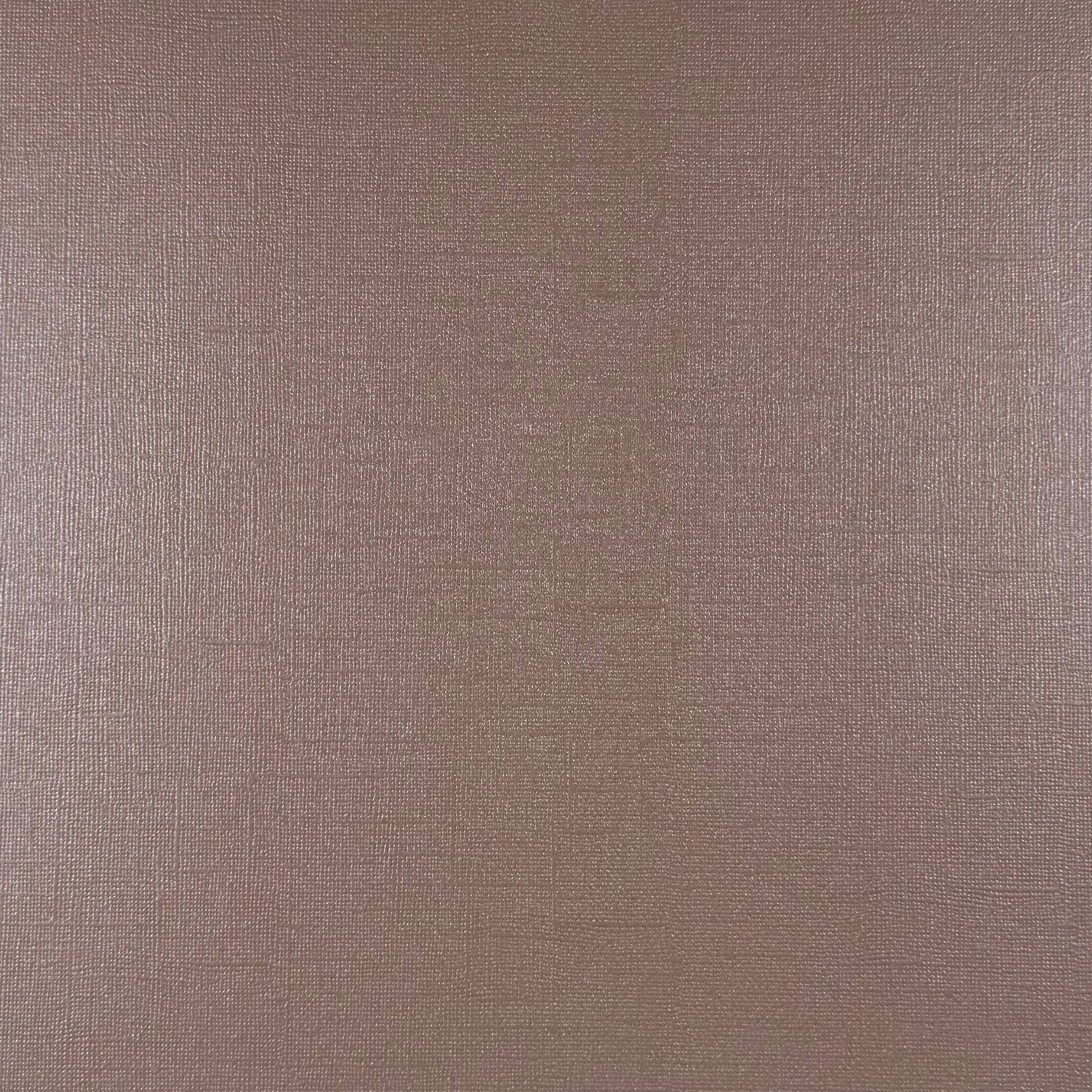 DRIFTWOOD - 12x12 Textured Pearlescent Cardstock - Encore Shimmer