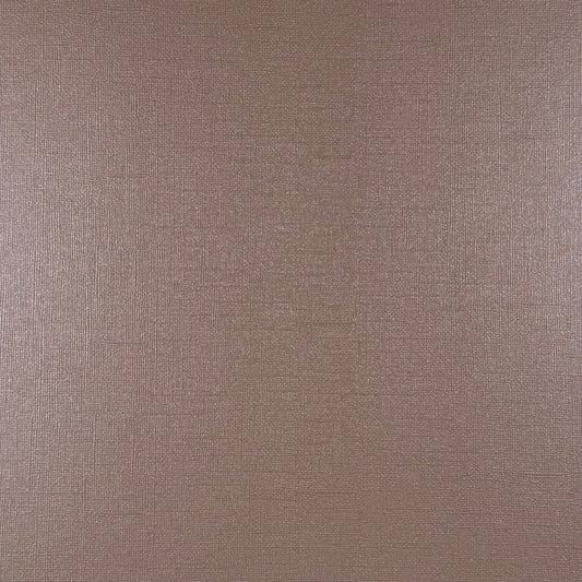 DRIFTWOOD - 12x12 Textured Pearlescent Cardstock - Encore Shimmer