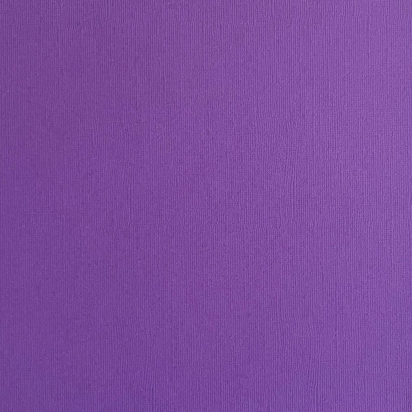 DUTCH IRIS - Vibrant Purple Textured 12x12 Cardstock - Encore Paper