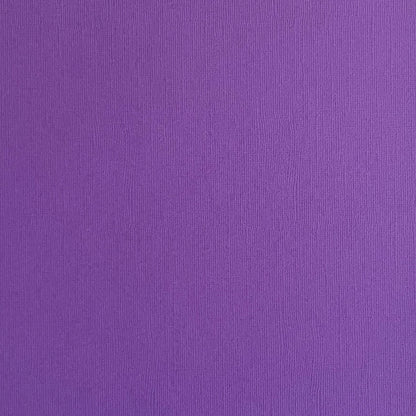 DUTCH IRIS - Vibrant Purple Textured 12x12 Cardstock - Encore Paper