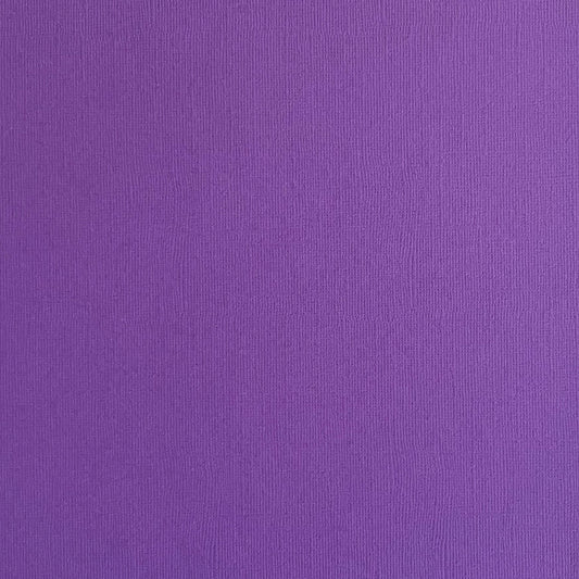 DUTCH IRIS - Vibrant Purple Textured 12x12 Cardstock - Encore Paper