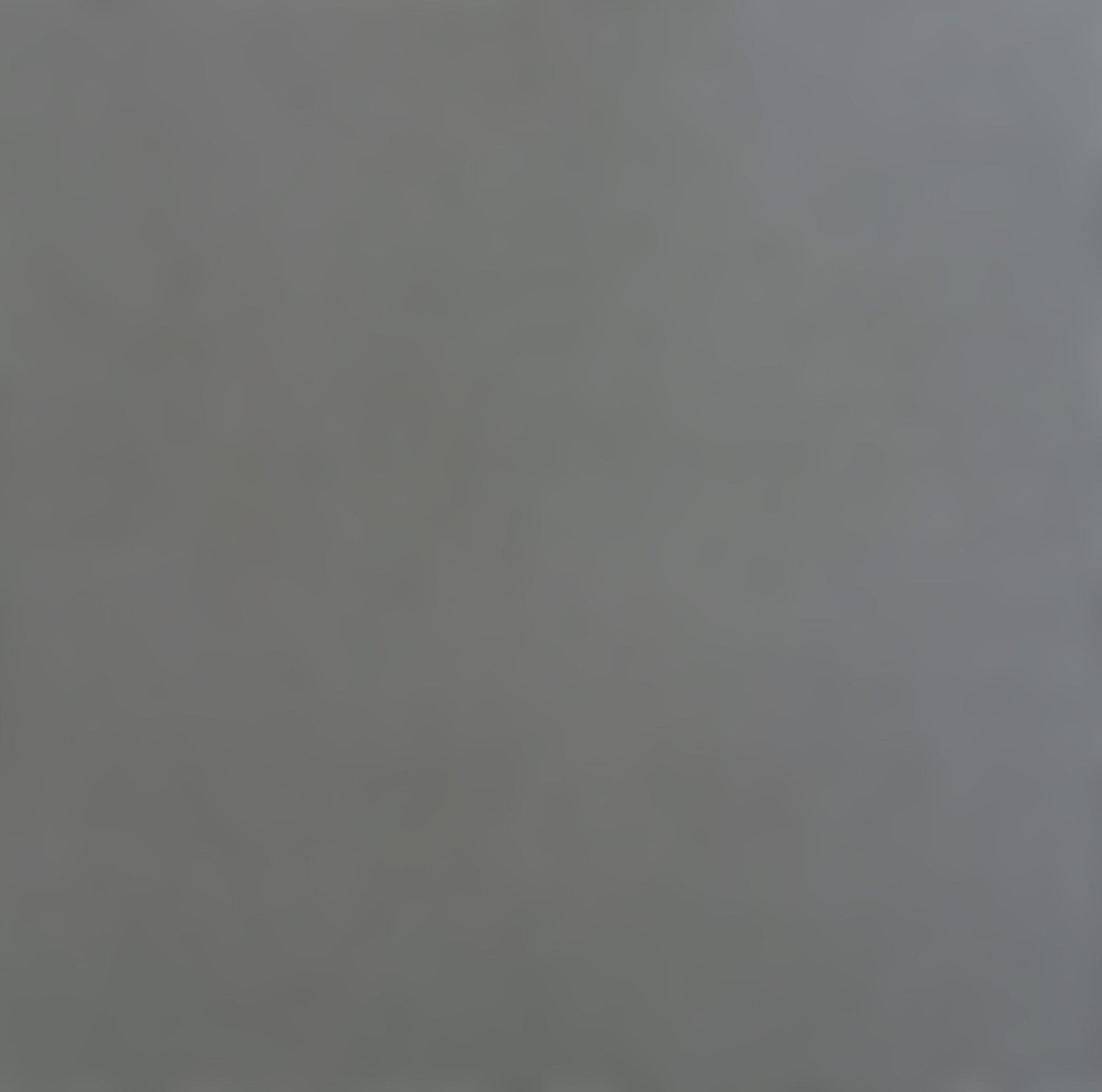 DOLPHIN - Smooth 12x12 Cardstock - Encore Paper