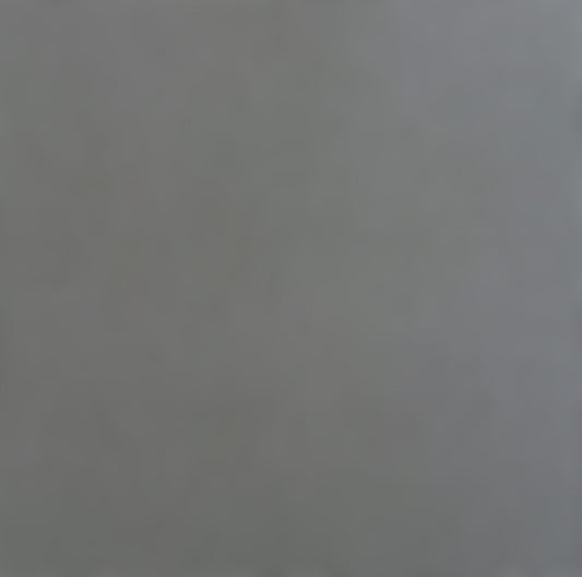 DOLPHIN - Smooth 12x12 Cardstock - Encore Paper