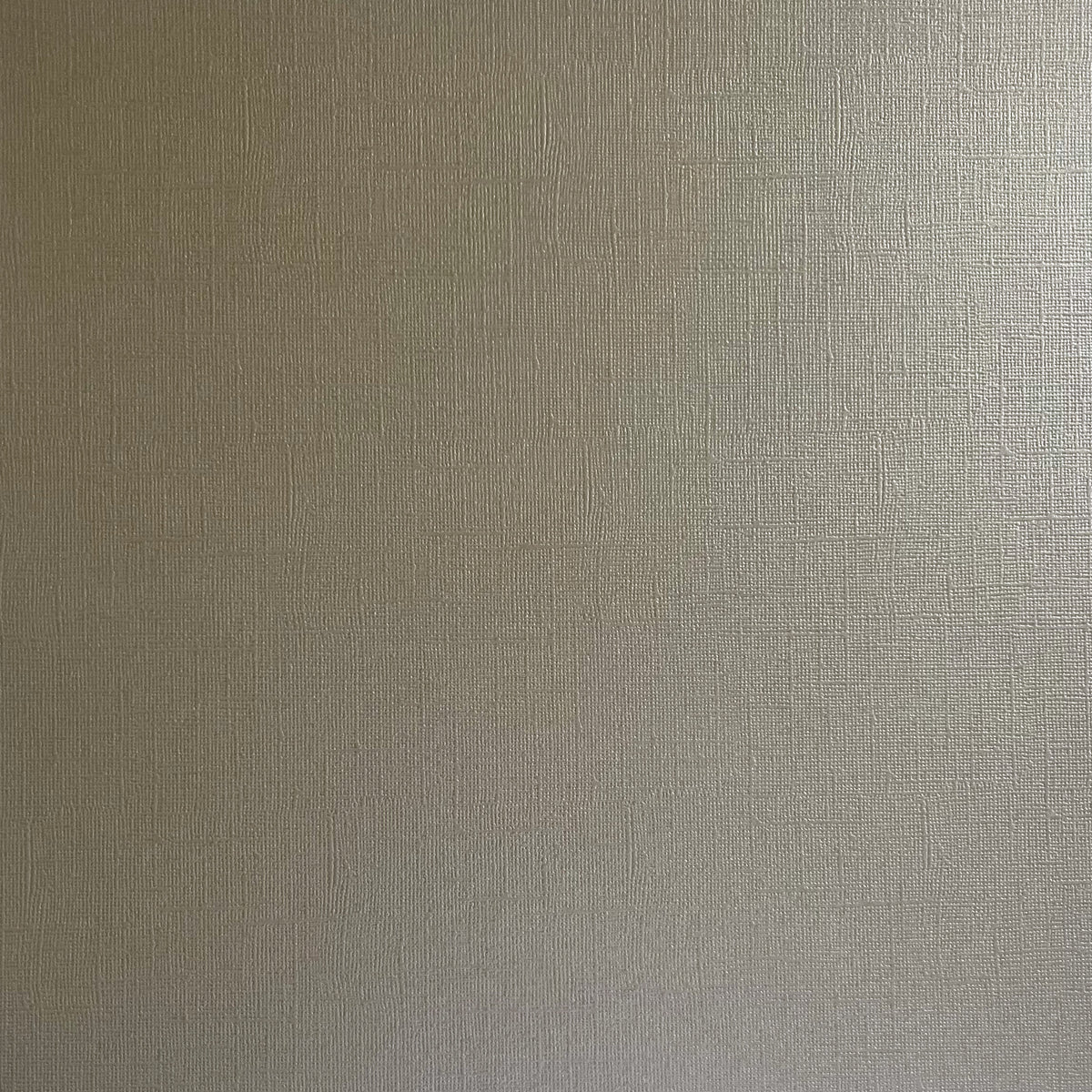 DRIFTWOOD - 12x12 Textured Pearlescent Cardstock - Encore Shimmer