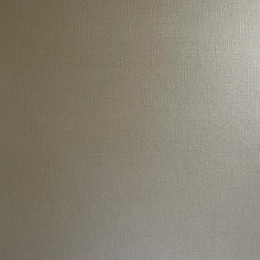 DRIFTWOOD - 12x12 Textured Pearlescent Cardstock - Encore Shimmer