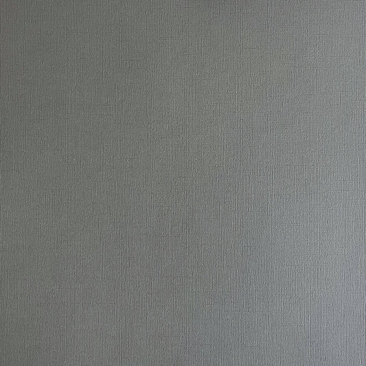 Encore Tin Man - Medium Gray Textured Cardstock for Cricut cutting