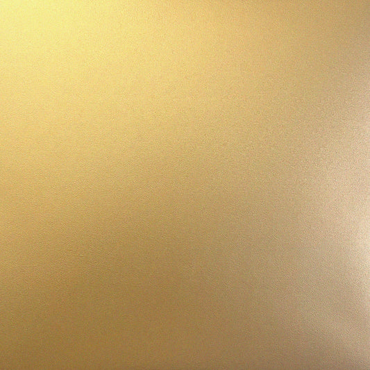 STIPPLED GOLD Foil Board - 12x12 Matte Cardstock - Encore