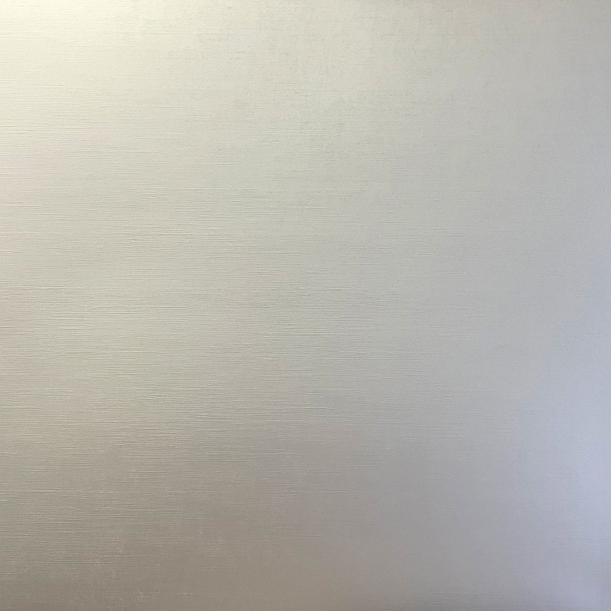 BRUSHED SILVER Foil Board - 12x12 Matte Cardstock - Encore
