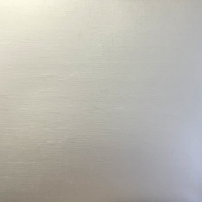 BRUSHED SILVER Foil Board - 12x12 Matte Cardstock - Encore