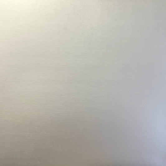 BRUSHED SILVER Foil Board - 12x12 Matte Cardstock - Encore