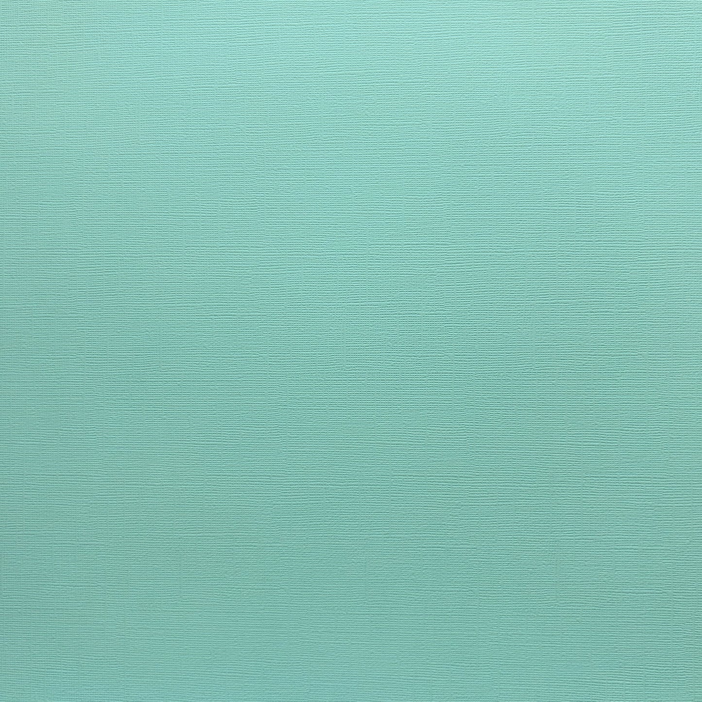 Encore Aquamarine Fizz  pale aqua textured cardstock for Cricut cutting
